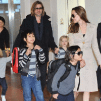 The end:Angelina Jolie Brad Pitt Divorce