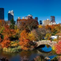 Top Fee Only Financial Advisor NYC