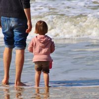 Best Fee Only Financial Advisor in Sarasota