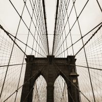 Best Fee Only Investment Advisor in Florida-New York