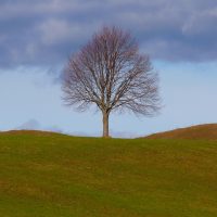 Best Whole Life Insurance in Florida - 2018