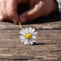 2018 Best Whole Life Insurance Quotes