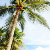 8 tips to get the Best Financial Advisor Tampa Florida