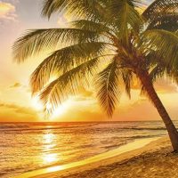 101 Best Tax Free Income Retirement Planning Florida