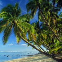 4 Best Tax Free Retirement Strategies Florida