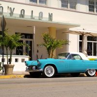 Best Miami- Tampa Fee Only Financial Advisor