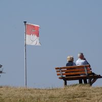 3 Best Life Settlement Strategies in Florida