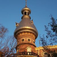 2019 Best Wealth Management in Tampa Florida