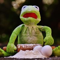 4 Simple Options 401K Rollover Tampa Florida