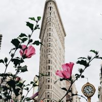 2019 Best Financial Advisor NYC and WNY